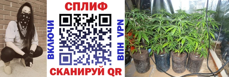 MEGA зеркало  как найти   Губаха  Бошки Шишки SATIVA & INDICA 